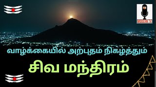 girivalam  #SOLARSAI #moderntv  #Girivalam #karthigaideepam #annamalaiyar #annamalai