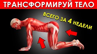 5 Простых Упражнений Для Мужчин, Которые Трансформируют Ваше Тело Всего за 4 Недели