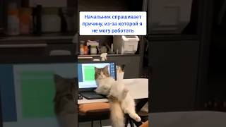 Когда сотрудник ушел на удаленку #shortsvideo #shorts #работа #удаленка #удаленнаяработа #юмор #офис