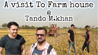 A visit to Farm house at Tando Muhammad Khan & Marvi Thadal drink