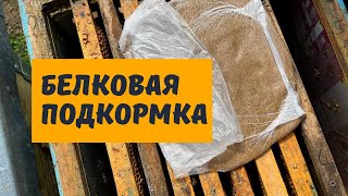 Белковая подкормка для пчел