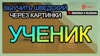 Выучить шведский через картинки |шведский словарь ученик | Golearn