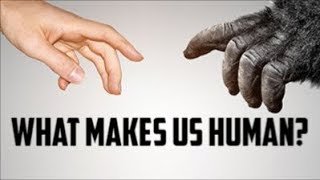 What Makes Us Human? - Animalistic Instincts Vs. Intellectual Desires