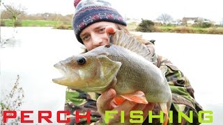 Still Water PERCH Fishing with Maggots and Worms