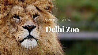 Delhi Zoo - Vlog 2023 | Delhi ka chidya Ghar | Lion se Dosti | National zoological park