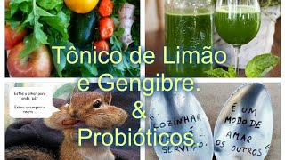 Suco e Iogurte Probiótico  CURATIVO, Anti-Fungo, Anti-Oxidante,Anti-Câncer.