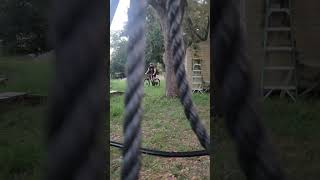 MTB training with Popeye! #blueheeler #cattledog #mtb #puppy #puppytraining