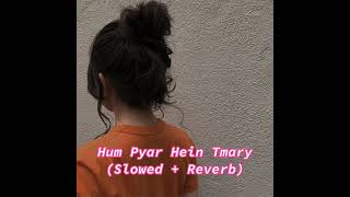 Hum Pyar Hein Tmary_(Slowed + Reverb)🎬💥🎬