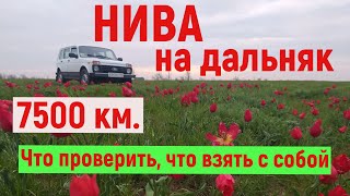 "Нива" на дальняк. 7500 км. Что проверить, что взять с собой в дорогу.