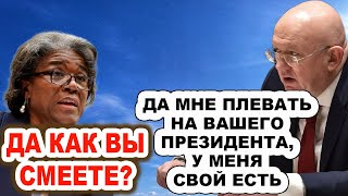 НАКИПЕЛО! Небензя нахлестал по щекам обалдевшему постпреду США в ООН