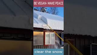 clear the snow #short #videoshow