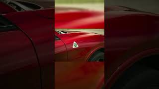 Alfa Romeo Stelvio Quadrifoglio AWD 2023 is competing with Lamborghini urus and bmwX5M.  #viral