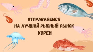 ОТПРАВЛЯЕМСЯ НА ЛУЧШИЙ РЫБНЫЙ РЫНОК КОРЕИ!