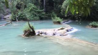 Kuang Si Waterfalls (outside Luang Prabang, Lao PDR)