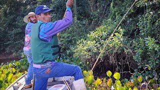 DIA DOS MONSTRO , SÓ SAIU PEIXE BRUTO NESSA PESCARIA DE TRAÍRA COM VARA DE BAMBU /PESCARIA RAIZ.