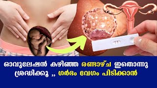 ഓവുലേഷന്‍ കഴിഞ്ഞ രണ്ടാഴ്ച ഇതൊന്നു ശ്രദ്ധിക്കൂ ,, ഗര്‍ഭം വേഗം പിടിക്കാന്‍ | l Implantation successful