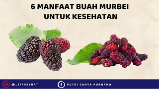 6 Manfaat Buah Murbei untuk Kesehatan