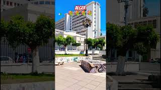 Alger, Algérie 🇩🇿😎💐