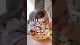 6 Months - Day 9 - Cauliflower #weaningjourney #babyledweaning #blw #blwideas #weaning #blwrecipes