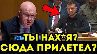 БРАВО! НЕБЕНЗЯ ВТОПТАЛ ЗЕЛЕНСКОГО НА ЗАСЕДАНИИ СБ В ООН ПРИ ВСЕХ! ЭТО НАДО ВИДЕТЬ!