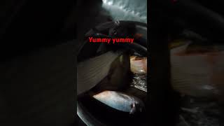 yummy yummy | ISLAND BORN OFFICIAL #fishing #shortsfeeds #shortsvideo