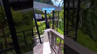 Jungle Lift #Viral #ViralVideos @Etv94 #Shorts