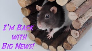 I'm Back With Big News!