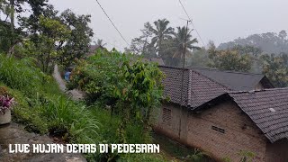 live hujan deras tak ada hentinya || langsung enak di buat tidur||pedesaan Jawa timur