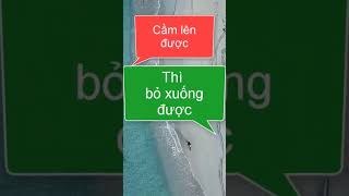 Cầm lên được thì bỏ xuống được