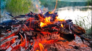 Cozy campfire 🔥 Relaxing fire sounds in nature 🔥 Fire crackling sounds (NO MUSIC)