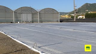 Bienvenidos a nuestro campo de ensayo de césped en Cabrera de Mar