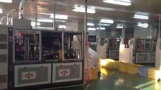 high speed double wall paper cup machine-5 sets automatic production line