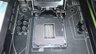 How to install an Intel Processor (LGA 1150) CPU