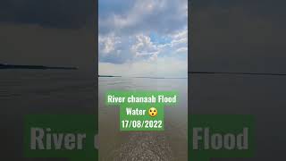 River Chanab Flood #rivers #riverchanab #riverravi #shorts