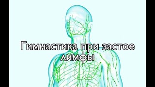 ГИМНАСТИКА ДЛЯ ЛИМФАТИЧЕСКОЙ СИСТЕМЫ