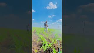 #viralvideo#farming#video#viral