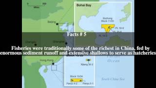 Bohai Bay Top # 8 Facts