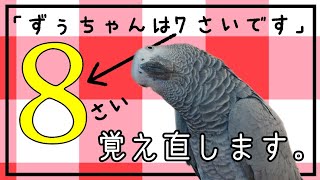 【予想外】やっぱりずぅちゃんは賢かった…！