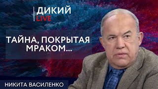 Нельзя быть немного беременной... Никита Василенко. Дикий LIVE.