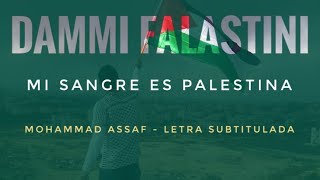 Mi sangre es Palestina - Dammi Falastini 🇵🇸 Dabke 📿