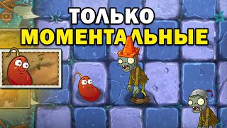 Plants vs Zombies 2 НО Я ИСПОЛЬЗУЮ МОМЕНТАЛЬНЫЕ РАСТЕНИЯ 2