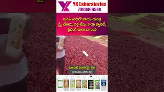 #Vaayuu #Yantra #మిరపలో వాయు యంత్ర స్ప్రే చేశాను, #నల్లి లేదు, కాయ క్వాలిటీ, షైనింగ్ చాలా బాగుంది