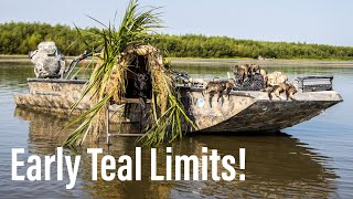 Early Teal Season Limits! || Iowa Waterfowl Hunting 2023