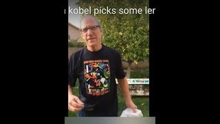 Glenn Koebel glen kobel picks some lemons Az.