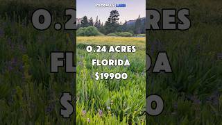 0.24 Acres with paved road access for Sale in Ocklawaha, Florida for $19,900. Taxes are $89 a year