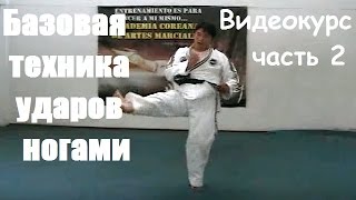 Базовая техника ударов ногами в Хапкидо / Видеокурс, часть 2