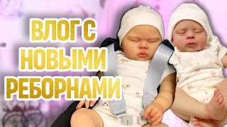 ВЛОГ новая малышка | прогулка с автолюлькой | реборн на продажу | прошивка реборна