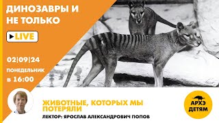 Занятие "Животные, которых мы потеряли" кружка "Динозавры и не только" с Ярославом Поповым