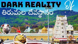 Dark Reality of Tirumala Tirupati Devasthanam || పంది కొవ్వుతో తిరుపతి లడ్లను తయారు చేస్తున్నారా ?