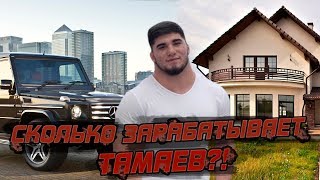 Жизнь Тамаева! Сколько зарабатывает блогер?!